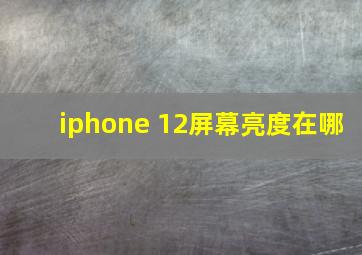 iphone 12屏幕亮度在哪